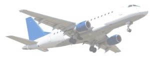 fly